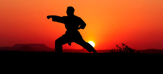 The Discipline Protocol: How to Build Unstoppable Momentum in Fitness and Life